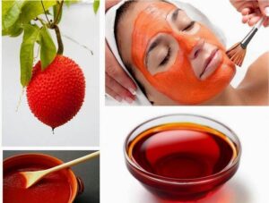 Dầu gấc trị nám