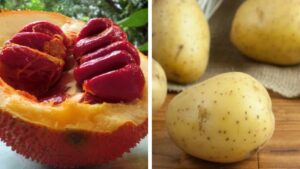 Mặt nạ dầu gấc và khoai tây trị nám sáng da