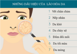 Dấu hiệu lão hoá da